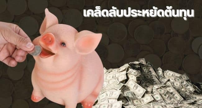 เล่นบาคาร่า